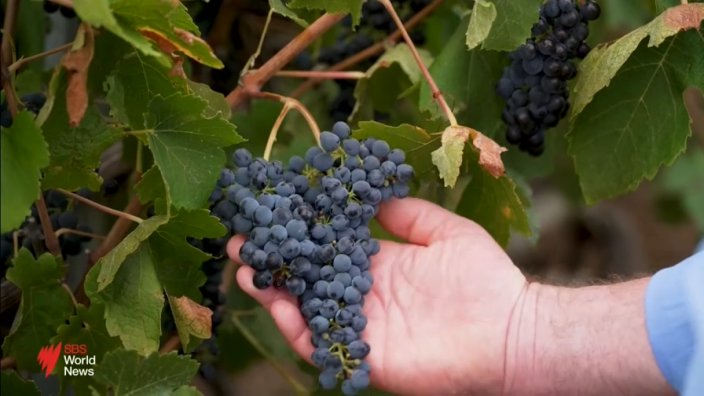 175 year old Australian Jesuit-run winery confronts challenges of changing consumer landscape